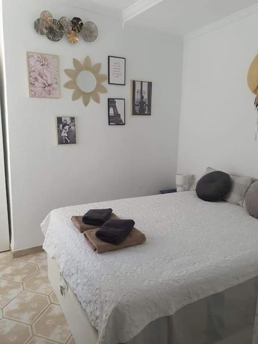 Costa Blanca Family Apartments One Bedroom Apartment Torrevieja Eksteriør billede